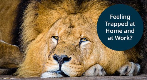 A close-up image of a lion resting with a thoughtful expression, overlaid with the text 'Feeling Trapped at Home and at Work?'