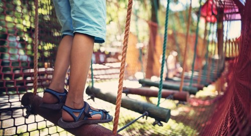 Creating Psychological Safety in the Workplace