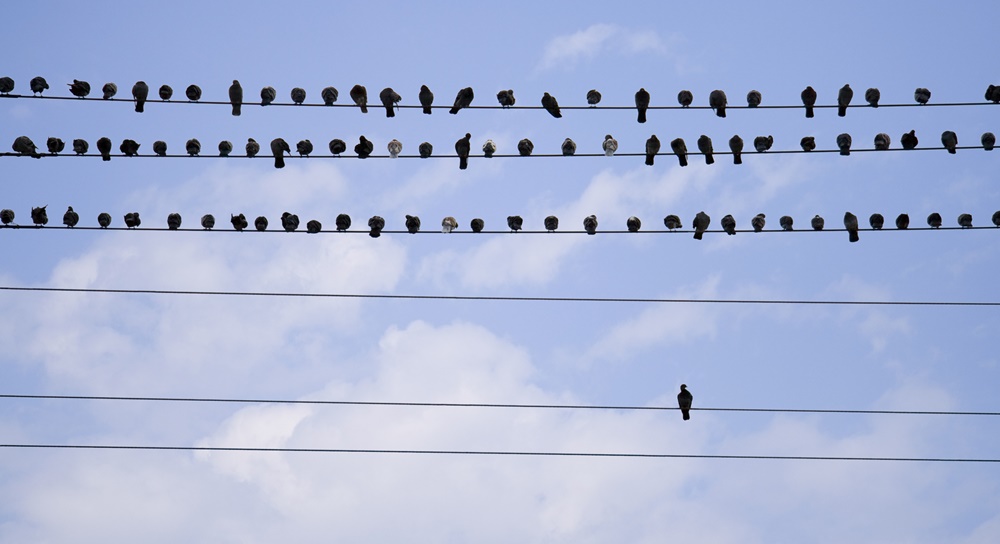 Leadership and the In-Group/Out-Group Phenomenon