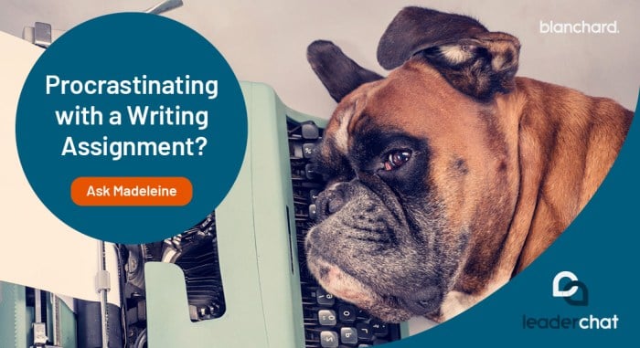 Procrastinating with a Writing Assignment? Ask Madeleine