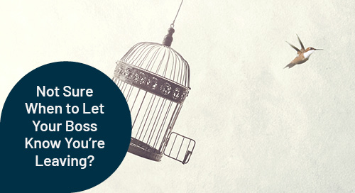Not Sure When to Let Your Boss Know You’re Leaving? Ask Madeleine