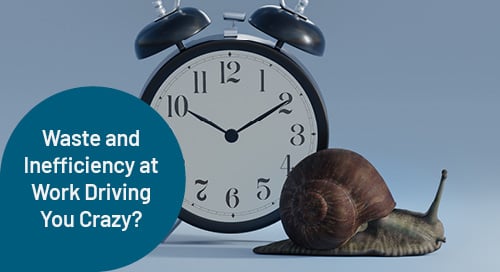 Waste and Inefficiency at Work Driving You Crazy? Ask Madeleine