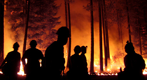CAL FIRE