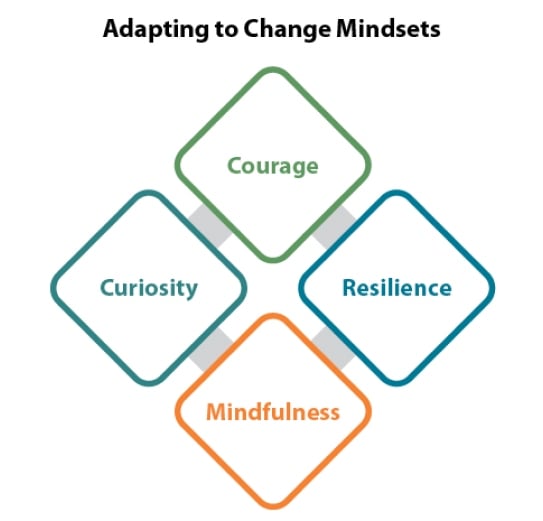 Adapting to Change Model